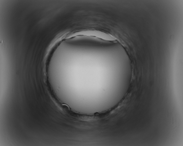 X0000083060245200703022140