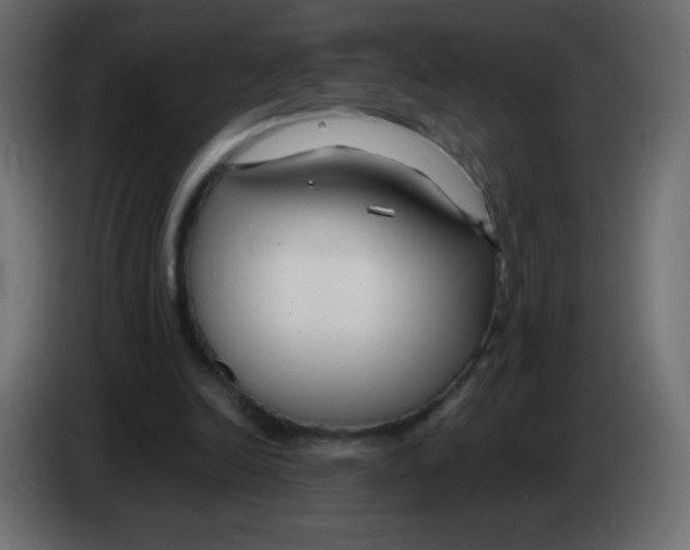 X0000083060246200703022140