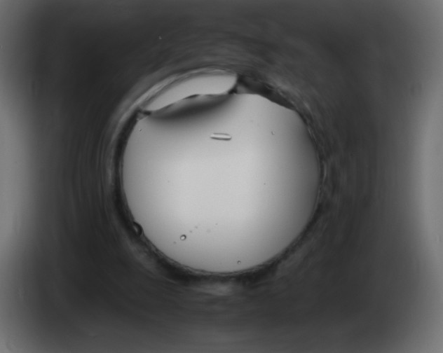 X0000083060247200703022140