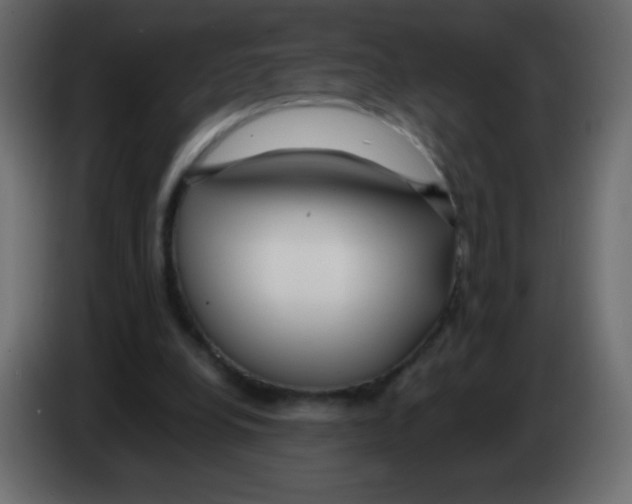 X0000083060248200703022140