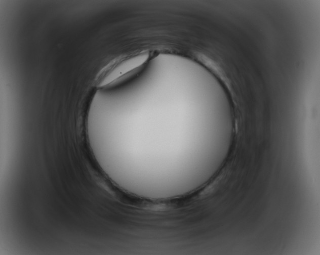 X0000083060249200703022140