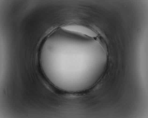 X0000083060250200703022140