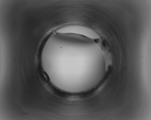 X0000083060252200703022140