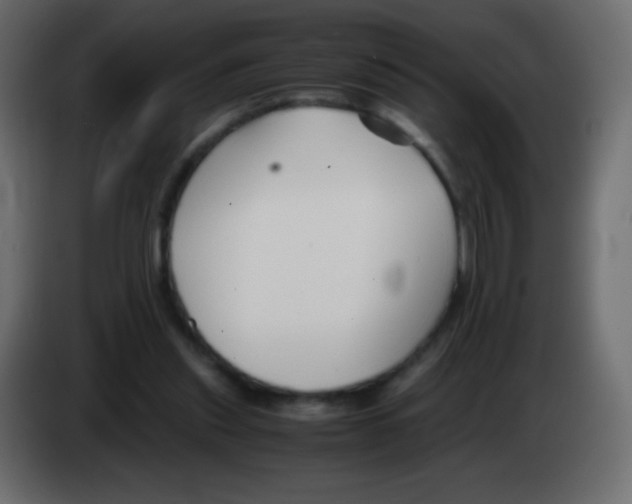 X0000083060253200703022140