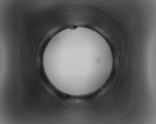 X0000083060254200703022140