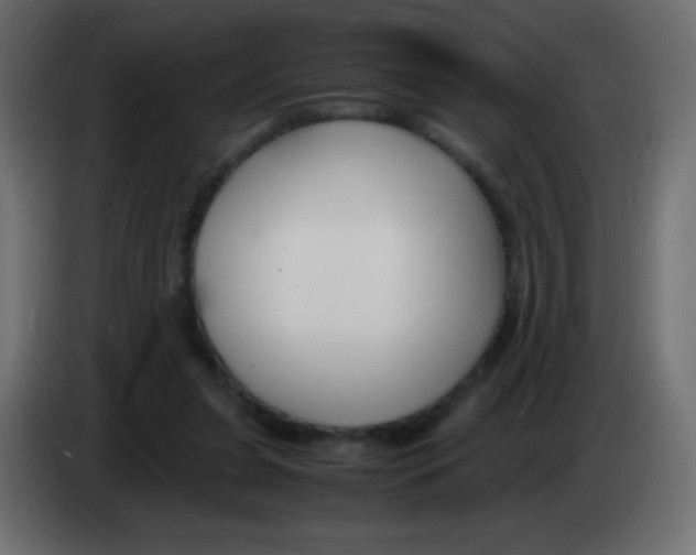 X0000083060255200703022140