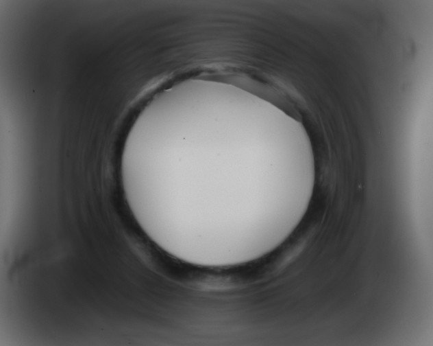 X0000083060256200703022140