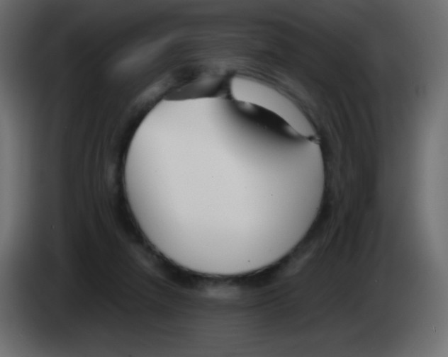 X0000083060258200703022140