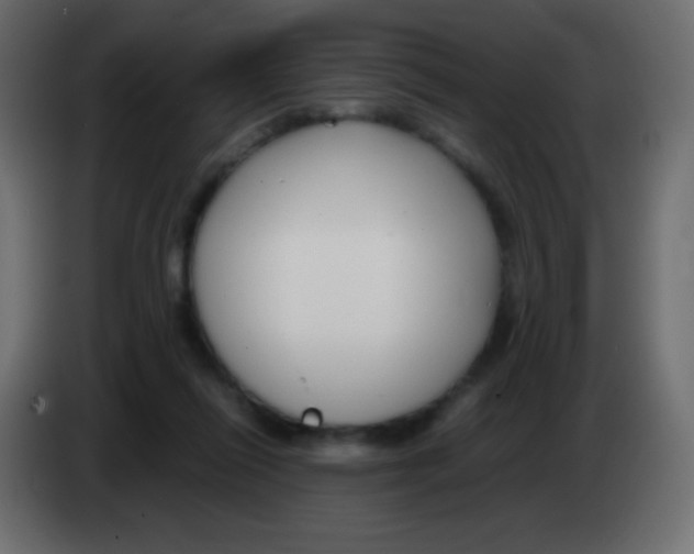 X0000083060262200703022140