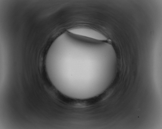 X0000083060263200703022140