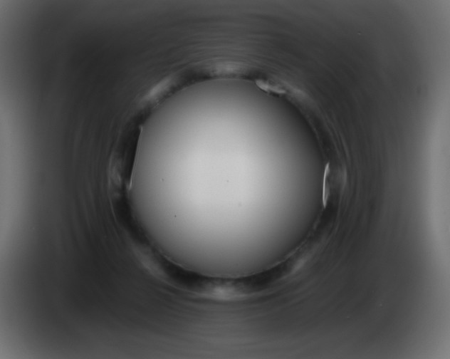 X0000083060264200703022140