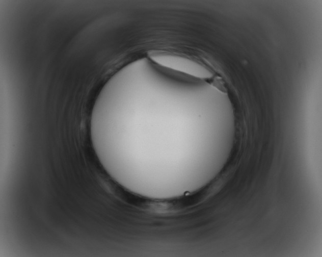 X0000083060265200703022140