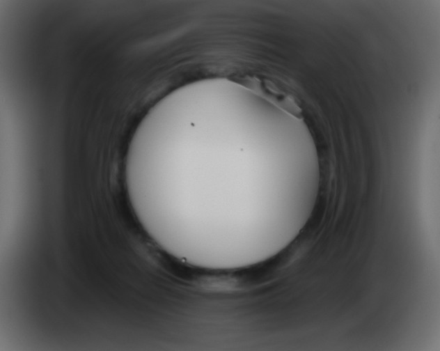 X0000083060266200703022140