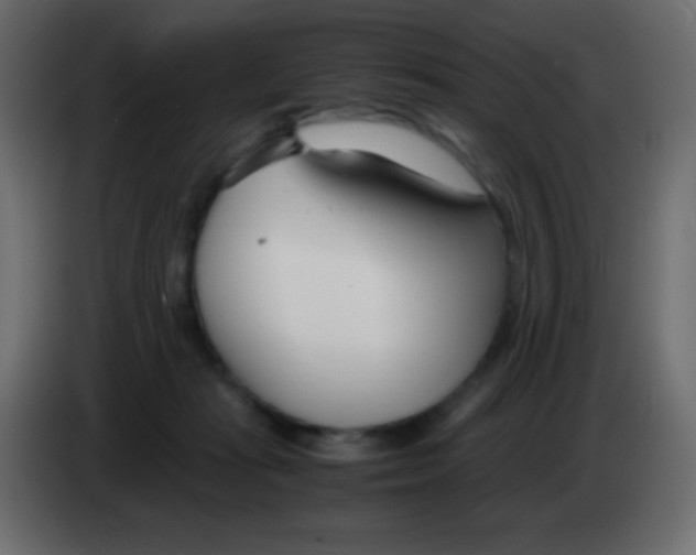 X0000083060269200703022140