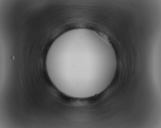 X0000083060270200703022140