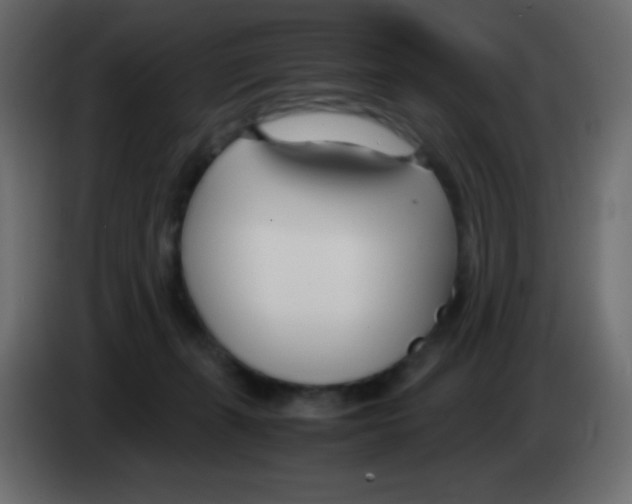 X0000083060271200703022140