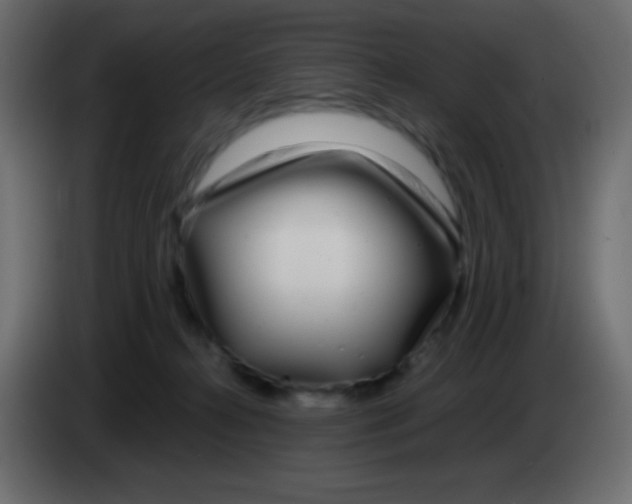 X0000083060272200703022140