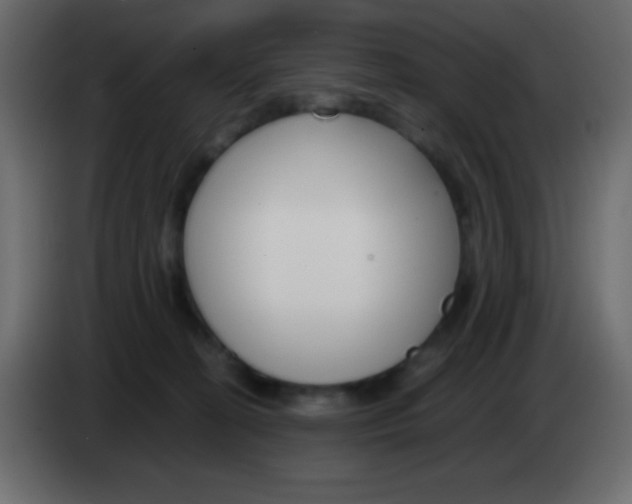 X0000083060274200703022141