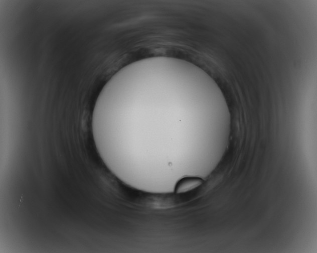 X0000083060275200703022141