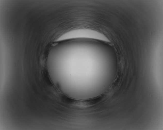 X0000083060276200703022141