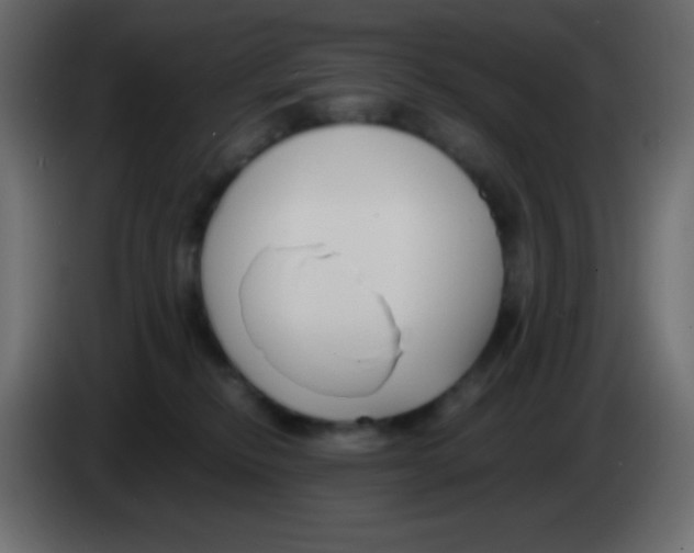 X0000083060278200703022141