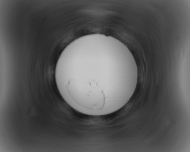 X0000083060279200703022141