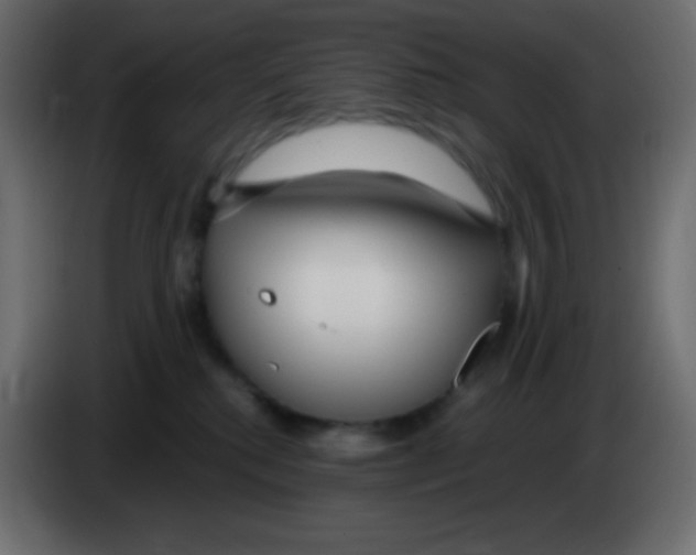 X0000083060280200703022141