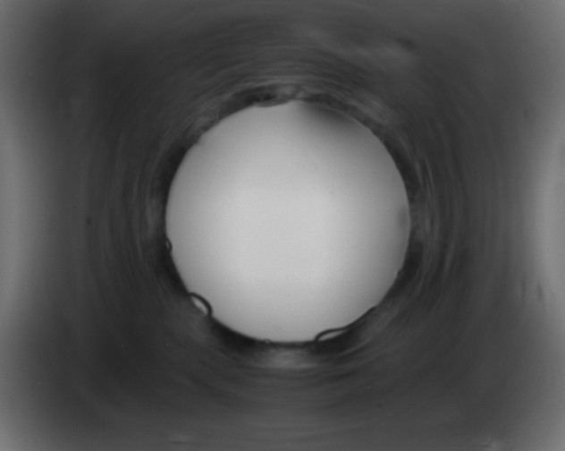 X0000083060283200703022141