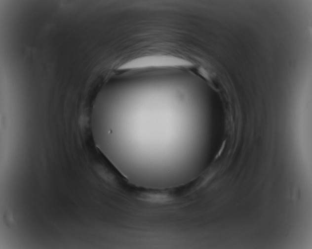 X0000083060284200703022141