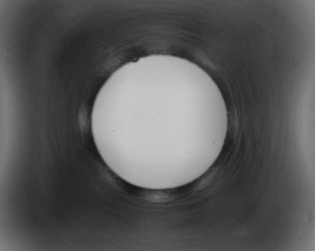 X0000083060287200703022141