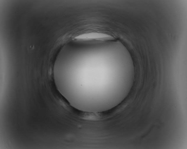 X0000083060288200703022141