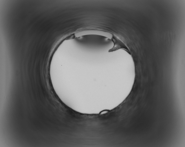 X0000083060289200703022140