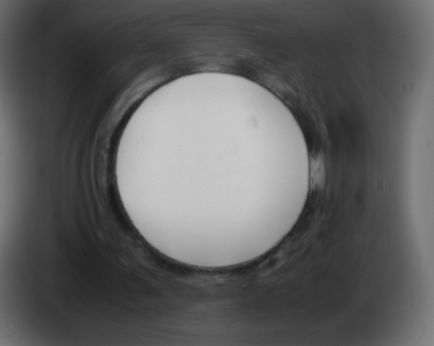 X0000083060291200703022140