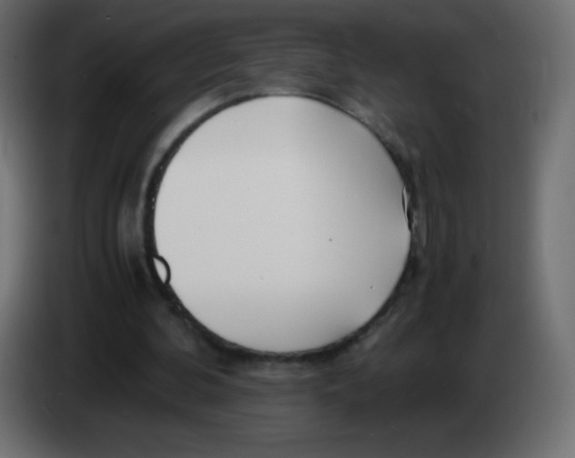 X0000083060292200703022140