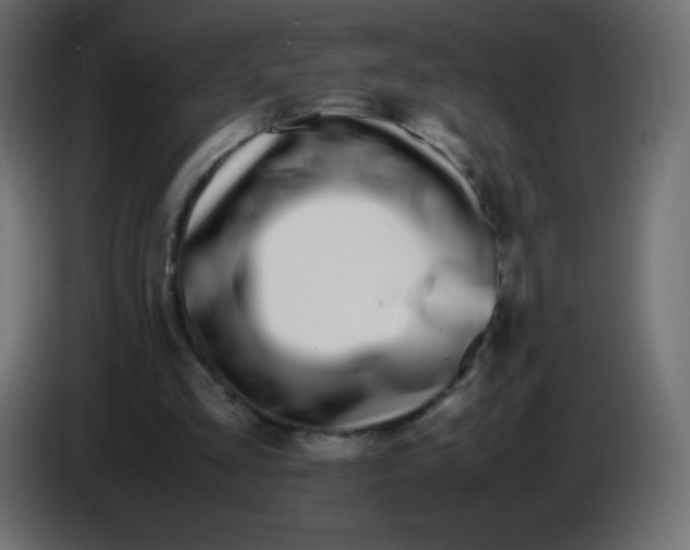 X0000083060293200703022140