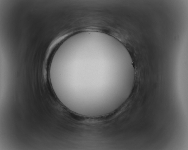 X0000083060294200703022140