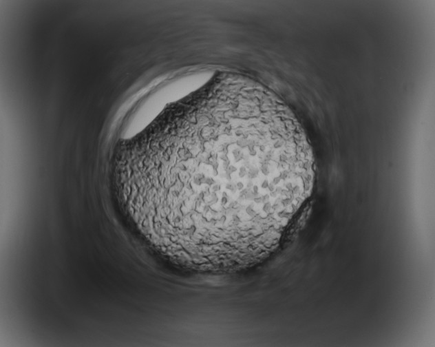 X0000083060295200703022140