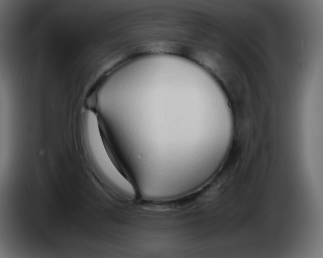 X0000083060299200703022140