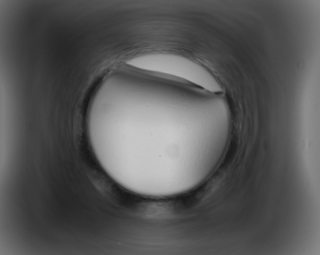 X0000083060303200703022140