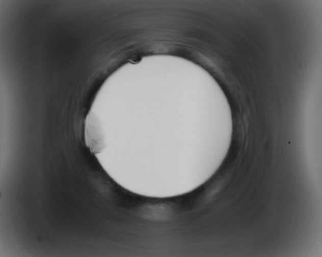 X0000083060307200703022140