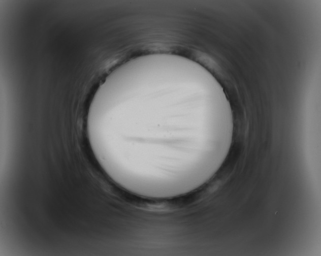 X0000083060309200703022140