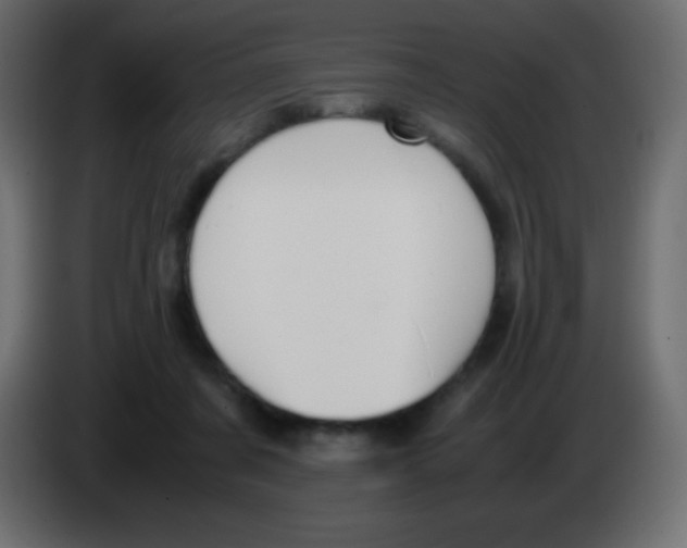 X0000083060311200703022140