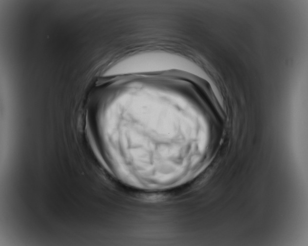 X0000083060313200703022140