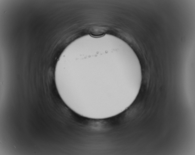 X0000083060321200703022139