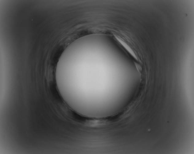 X0000083060323200703022139