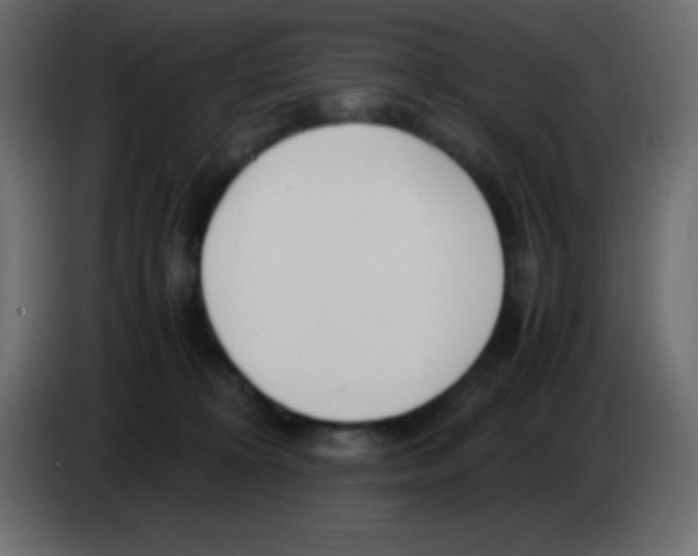 X0000083060324200703022139