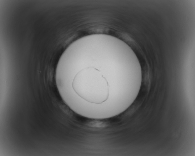 X0000083060326200703022139