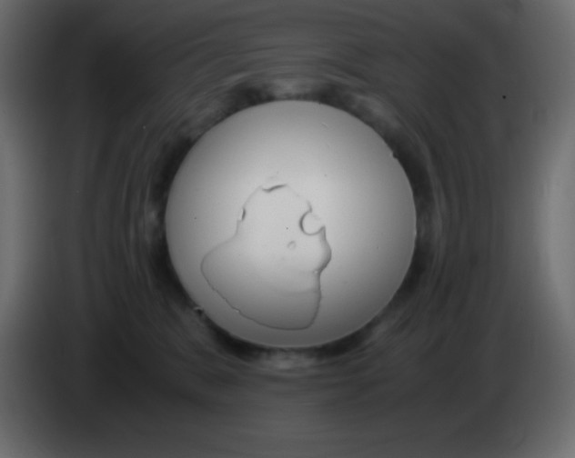 X0000083060327200703022139