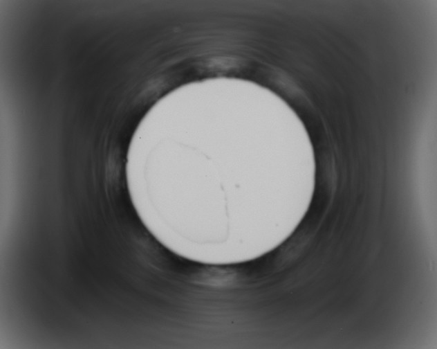 X0000083060328200703022139