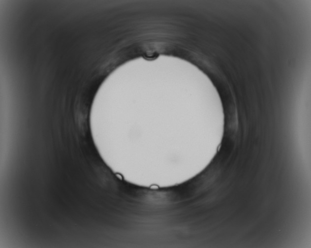 X0000083060332200703022139